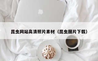 宿迁昆虫网站高清照片素材（昆虫图片下载）